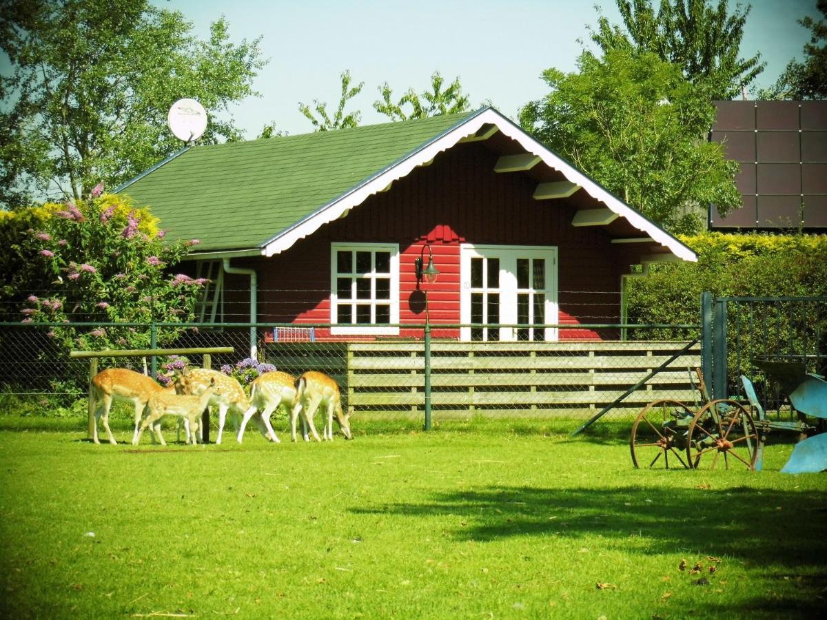 Kollumerzwaag Vakantiehuisjes Landgoed Sonneborghe מראה חיצוני תמונה