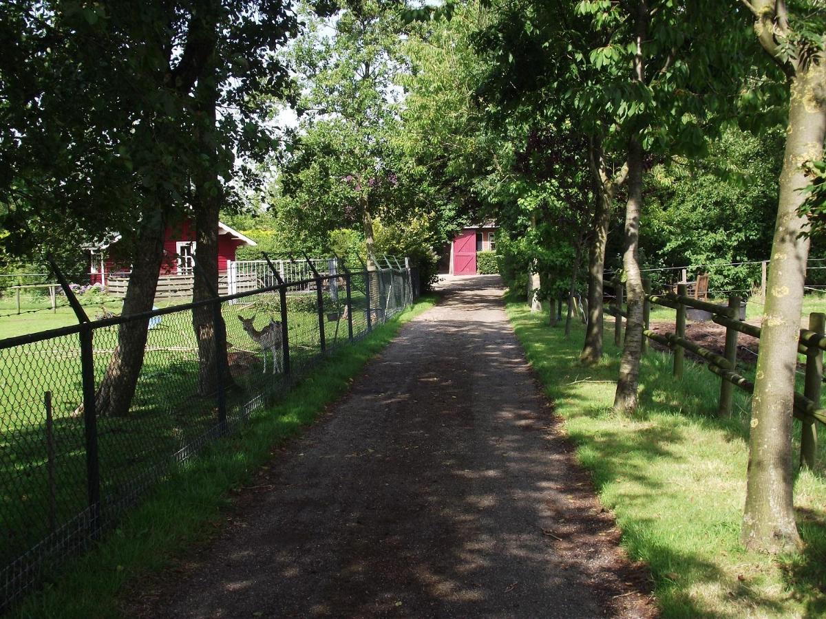 Kollumerzwaag Vakantiehuisjes Landgoed Sonneborghe מראה חיצוני תמונה