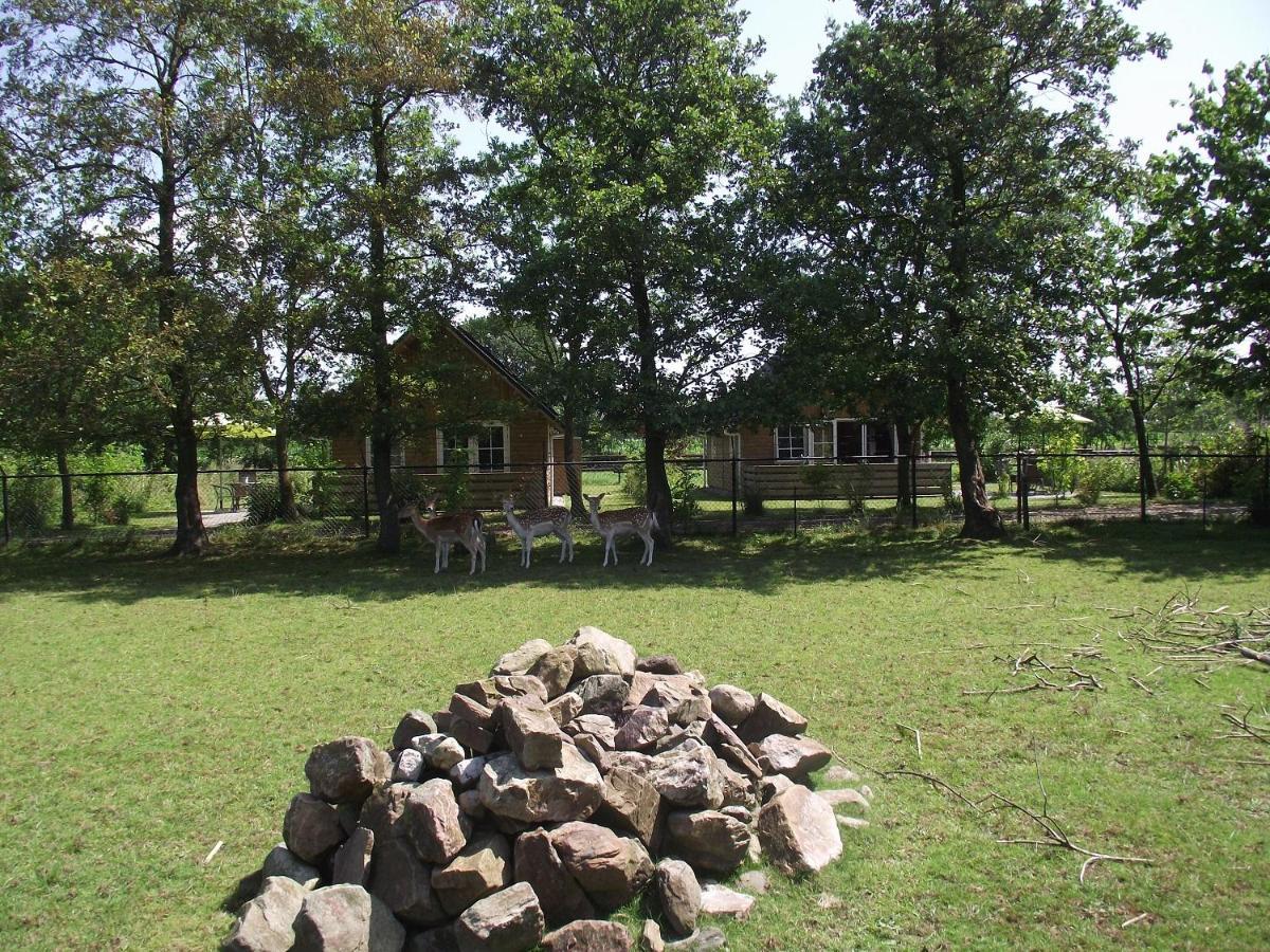 Kollumerzwaag Vakantiehuisjes Landgoed Sonneborghe מראה חיצוני תמונה